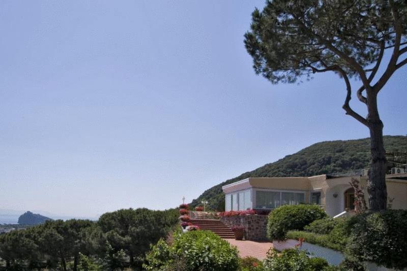 Hotel Ireos 3*